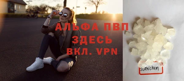 дживик Осташков