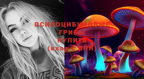 бошки Осинники