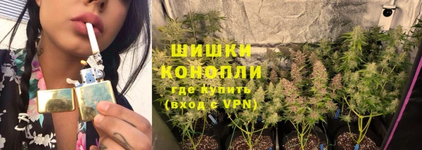 бошки Осинники