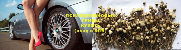 кокаин Алексеевка